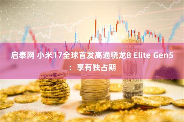 启泰网 小米17全球首发高通骁龙8 Elite Gen5：享有独占期