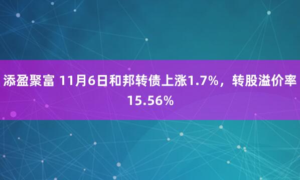 添盈聚富 11月6日和邦转债上涨1.7%,转股溢价率15.56%