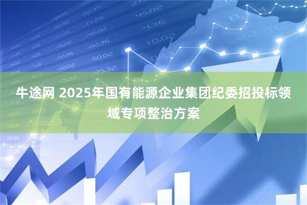 牛途网 2025年国有能源企业集团纪委招投标领域专项整治方案